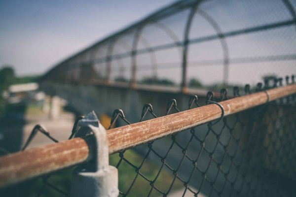 Quels sont les moyens pour les petits jardins urbains de contribuer à la biodiversité locale ?