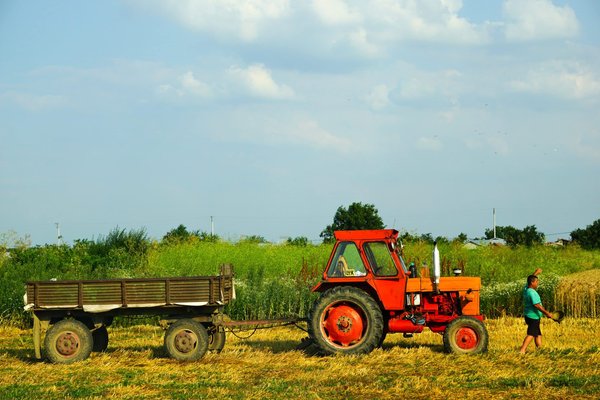 Comment introduire des pratiques de jardinage biologique dans les jardins communautaires ?